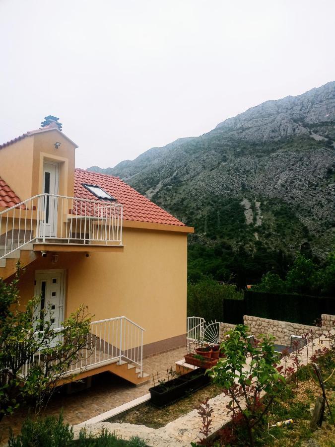 Appartement The A View